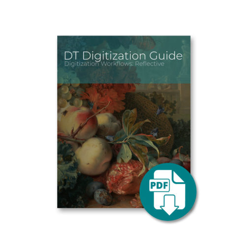 Digitization Workflows: Reflective (PDF Download)