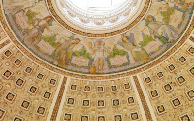 A Thank You to Our Project Lemonade Audience